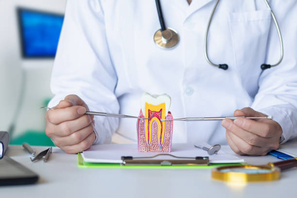 Best Emergency Dental Surgery in Hemphill, TX